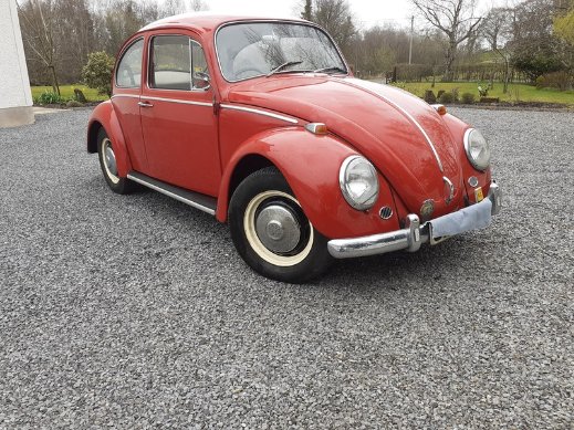 1966-volkswagen-beetle-625c1c775e163 (1).jpg
