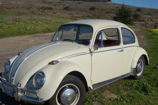 My 1966 Pearl White bug with original pigalle interior
