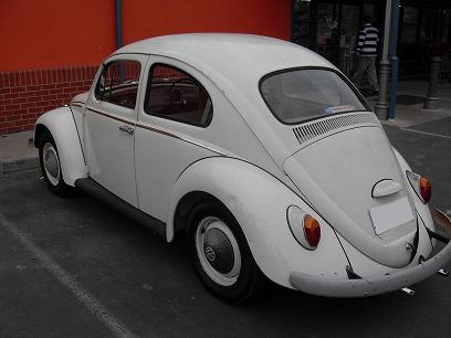 beetle1.JPG