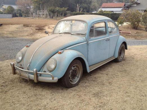 66 beetle sm.JPG