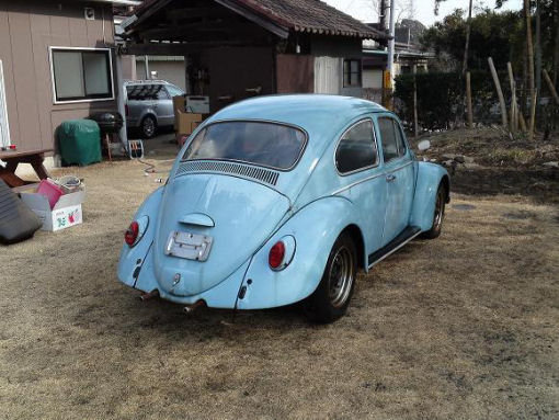 66 beetle 6 sm.JPG