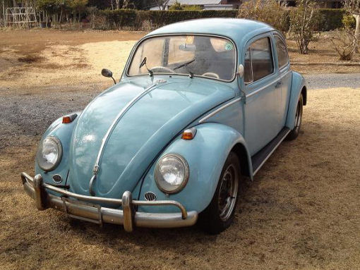 66 beetle 4 sm.JPG