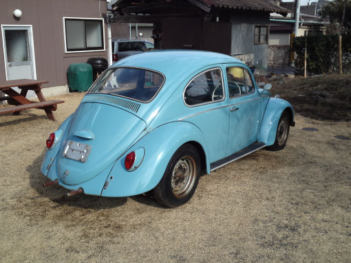 66 beetle 12 sm.jpg