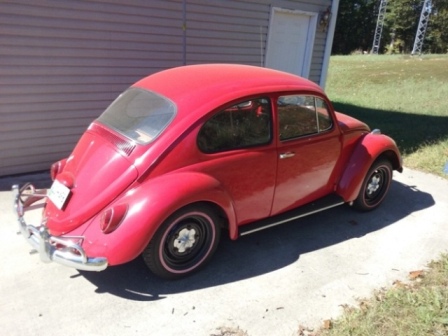 Beetle Small.jpg