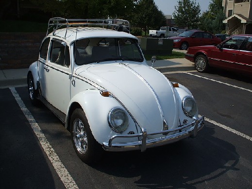 bug2 001.jpg