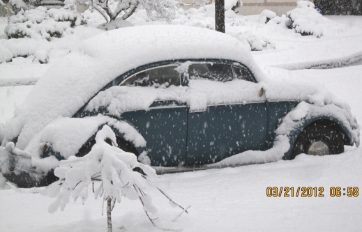 Snow in Eugene March 2012