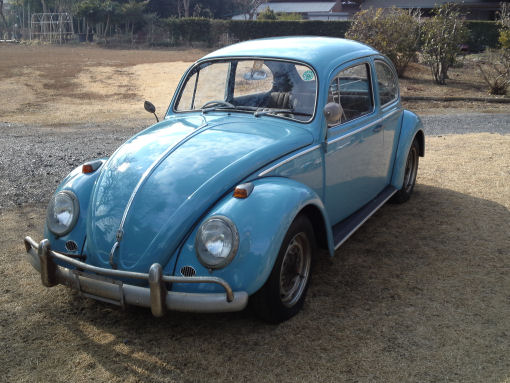 66 beetle 11 sm.jpg